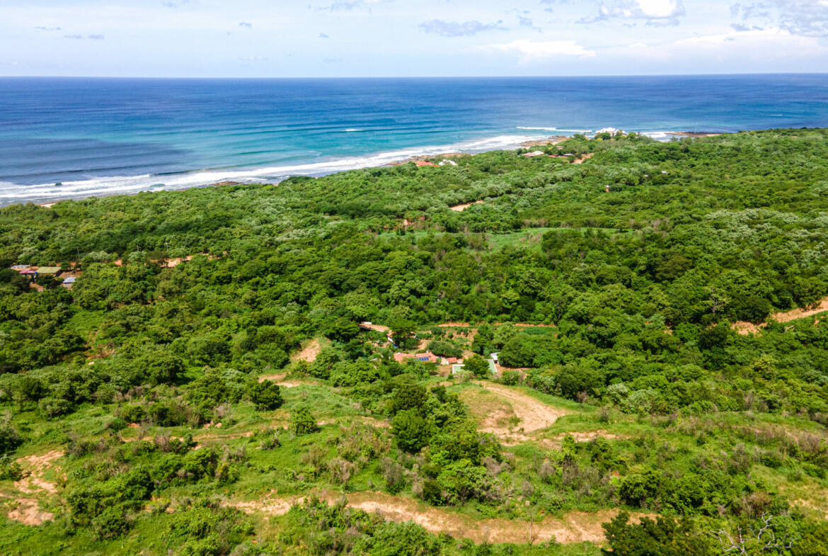 oceanview-lots-at-mango-time-beach-resort