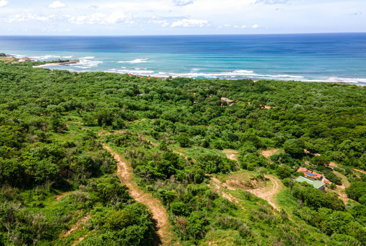 oceanview-lots-at-mango-time-beach-resort