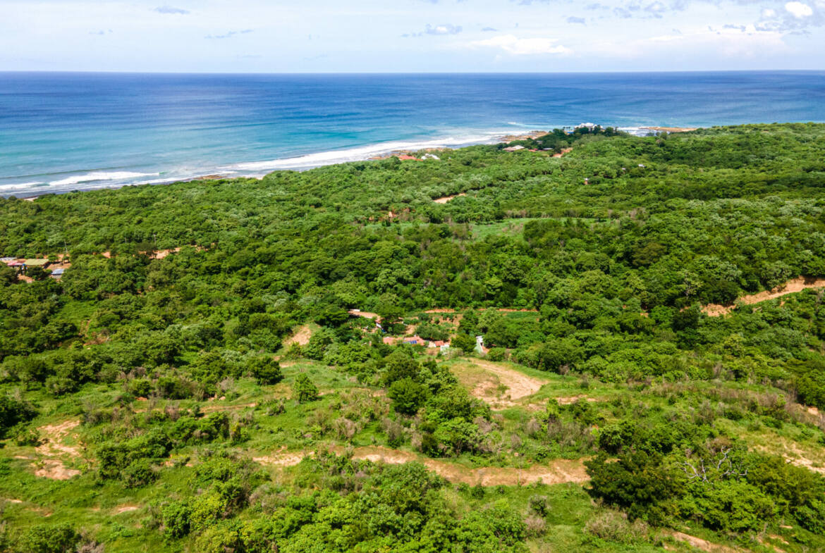 oceanview-lots-at-mango-time-beach-resort