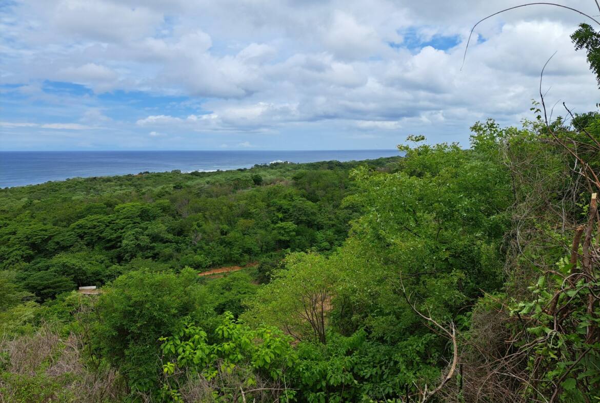 oceanview-lots-at-mango-time-beach-resort