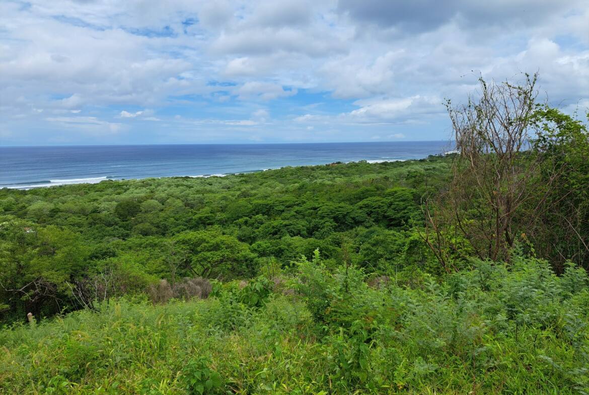 oceanview-lots-at-mango-time-beach-resort