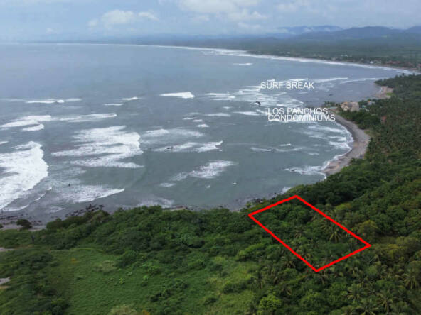 Tranquil-Lot-in-Saladita