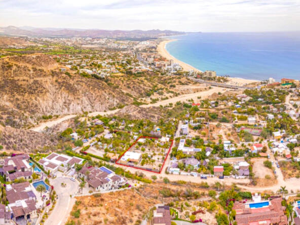 el-zalate-oasis-gringo-hill