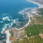 oceanfront-lot-in-south-saladita