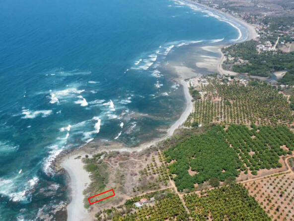 oceanfront-lot-in-south-saladita