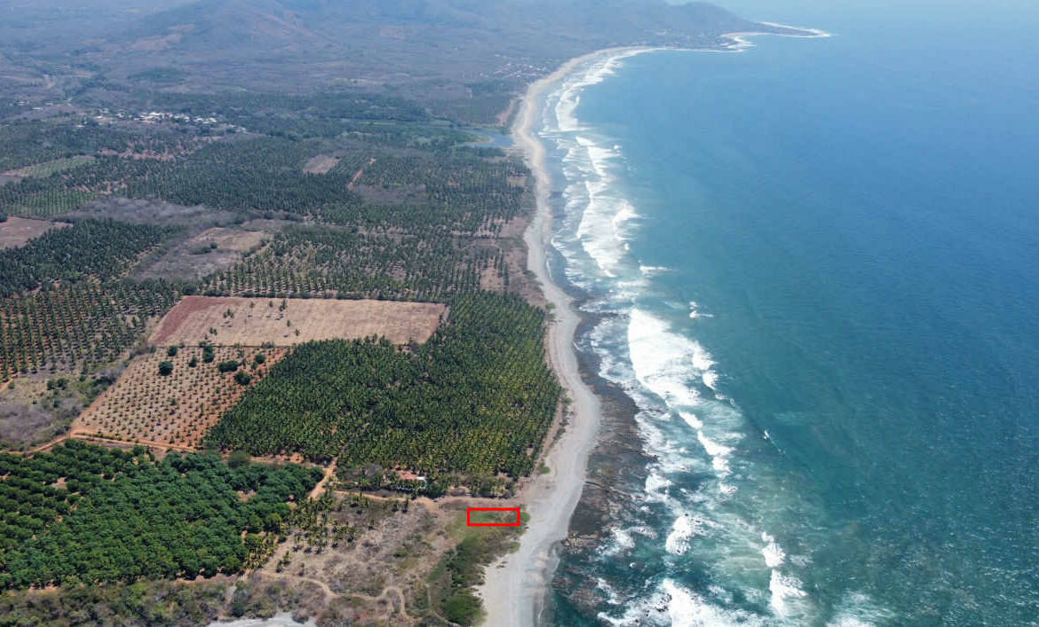 oceanfront-lot-in-south-saladita