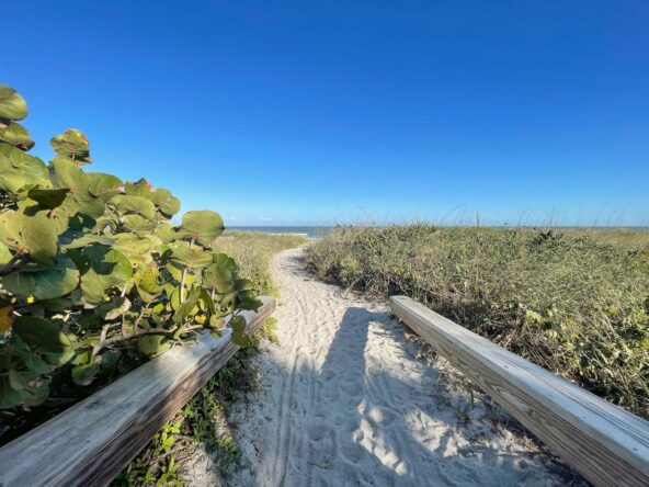 breward-county-oceanview-gem