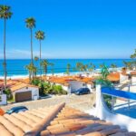 pelicanos-este-64-las-gaviotas-baja-california