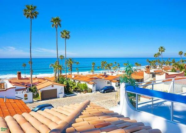 pelicanos-este-64-las-gaviotas-baja-california