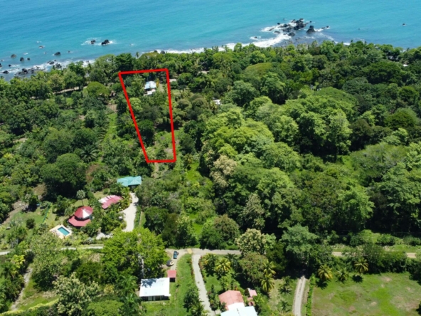 la-pina-villa-in-pavones