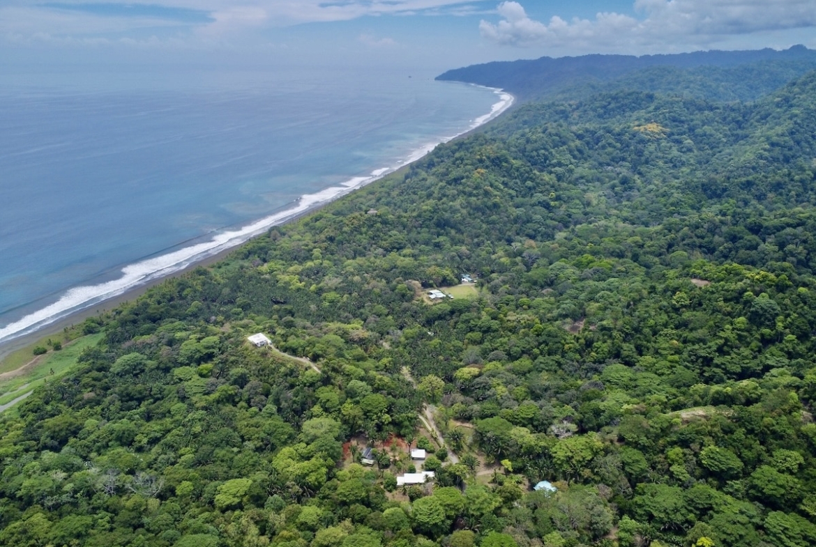 primary-rainforest-27-acre-ocean-view-property