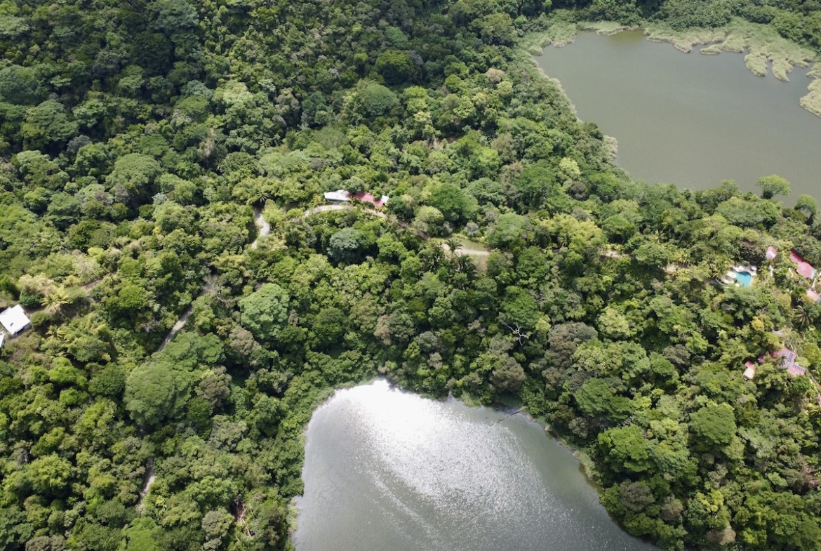 primary-rainforest-27-acre-ocean-view-property