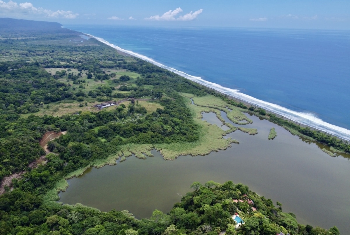 primary-rainforest-27-acre-ocean-view-property