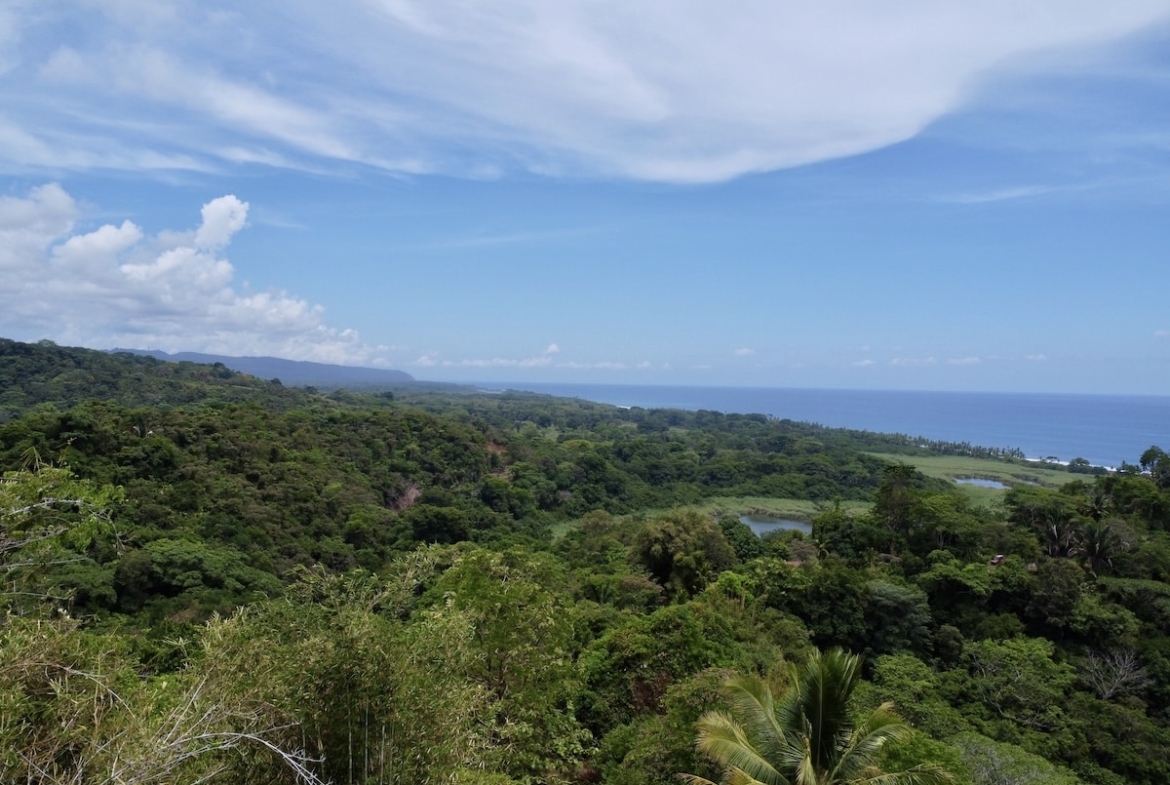 primary-rainforest-27-acre-ocean-view-property