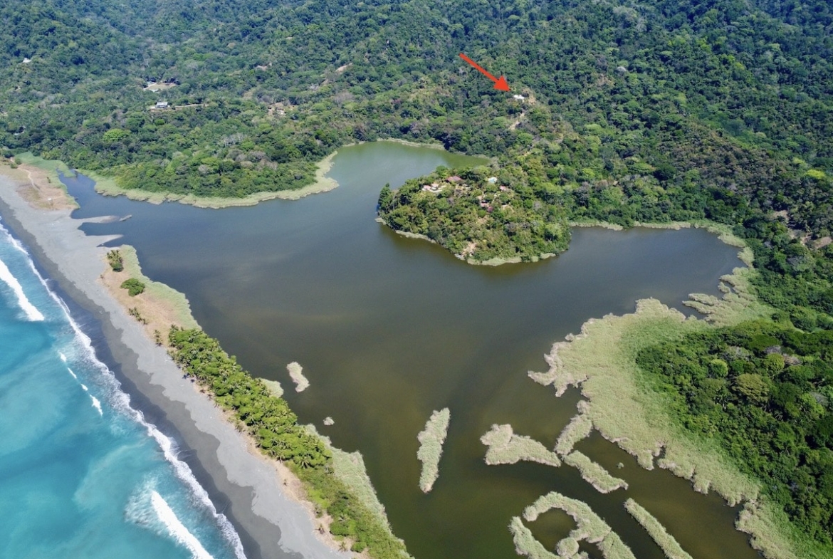 primary-rainforest-27-acre-ocean-view-property