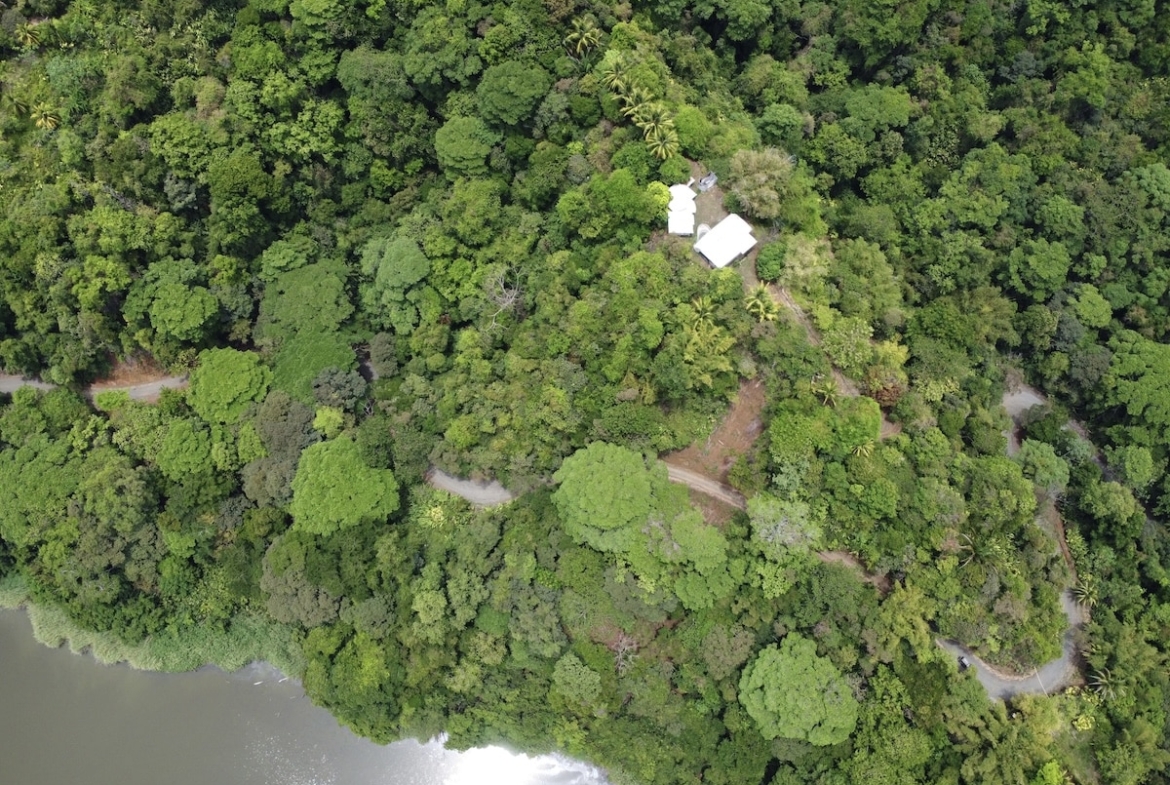 primary-rainforest-27-acre-ocean-view-property