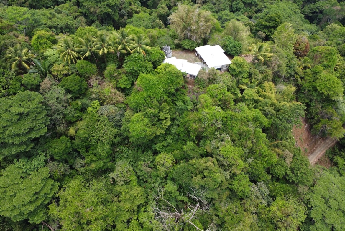 primary-rainforest-27-acre-ocean-view-property
