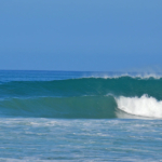 serene-jungle-retreat-with-3-studios