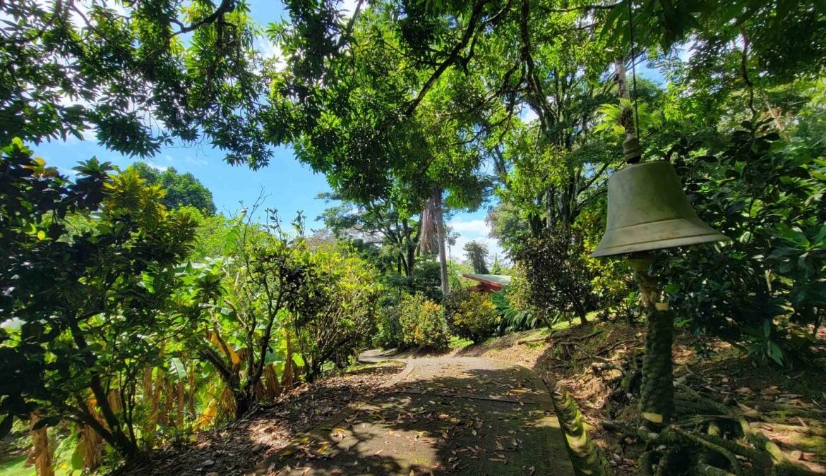 5-acre-luxury-surf-compound-in-pavones-costa-rica