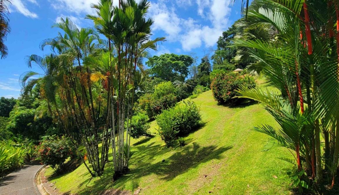 5-acre-luxury-surf-compound-in-pavones-costa-rica
