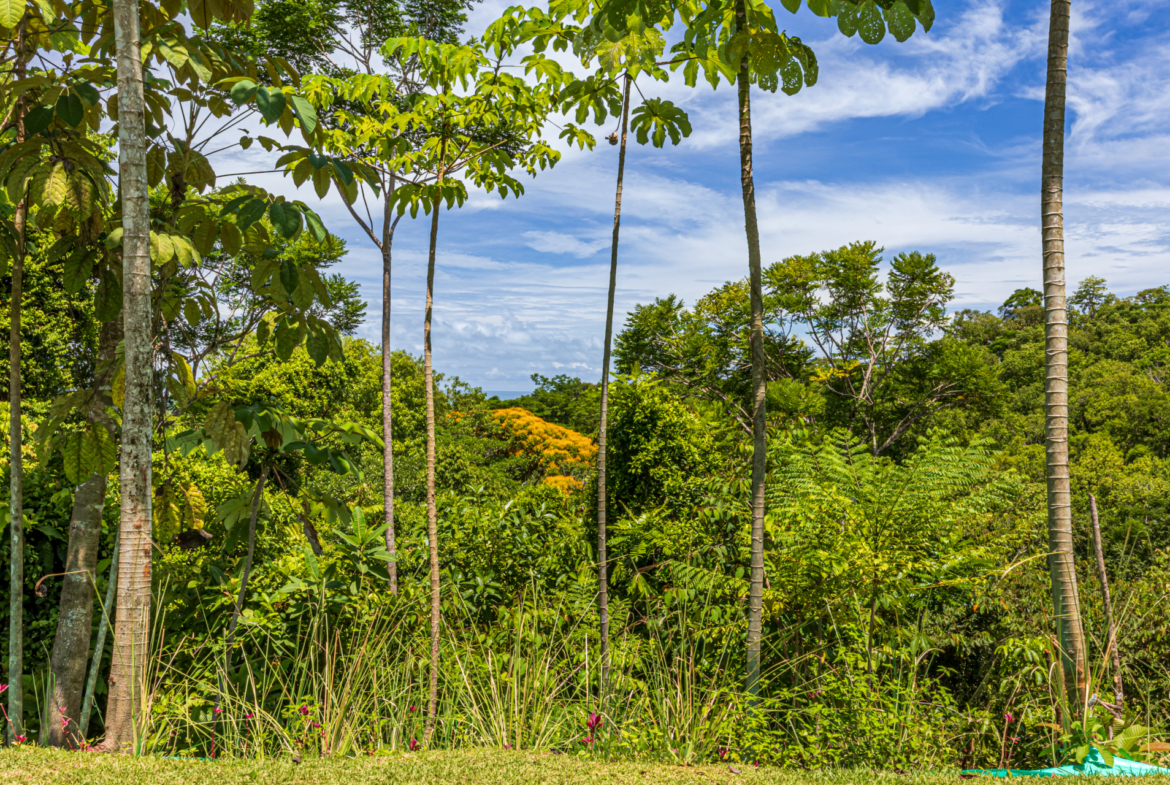 architectural-masterpiece-recording-studio-pool-guest-house