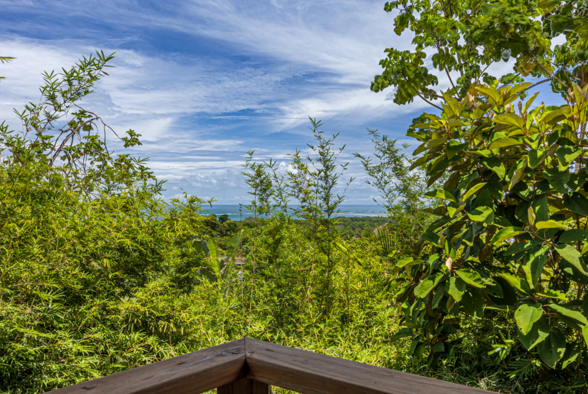 architectural-masterpiece-recording-studio-pool-guest-house