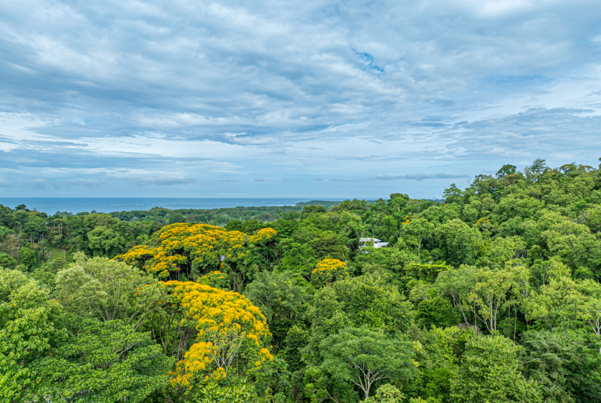 architectural-masterpiece-recording-studio-pool-guest-house