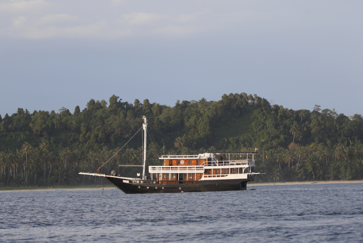 mentawai-islands-10%-ownership-share-prime-charter-boat