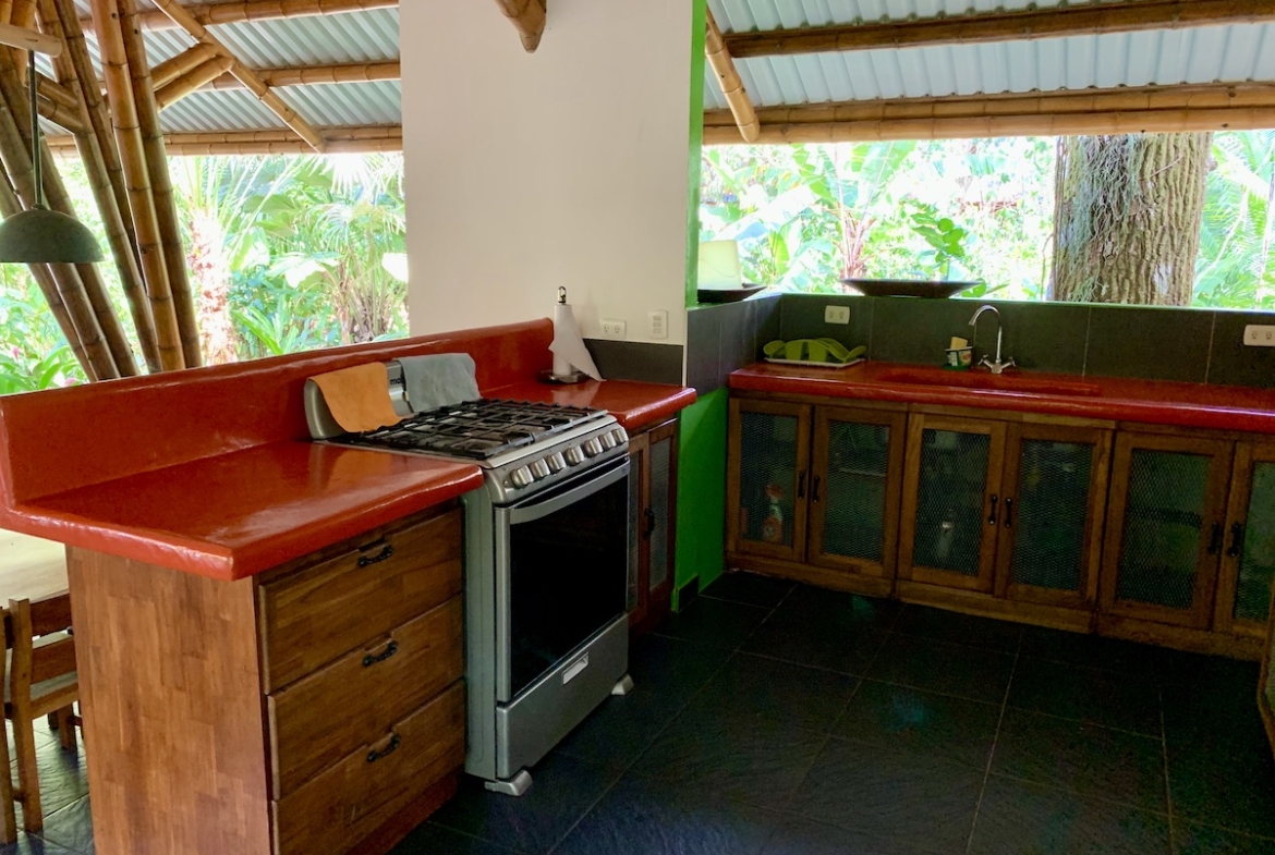 jungle-beach-exotic-retreat