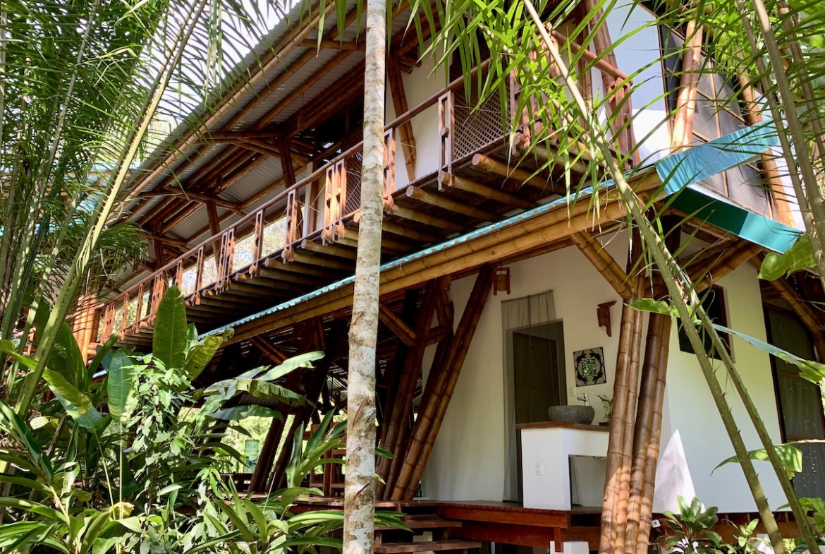 jungle-beach-exotic-retreat