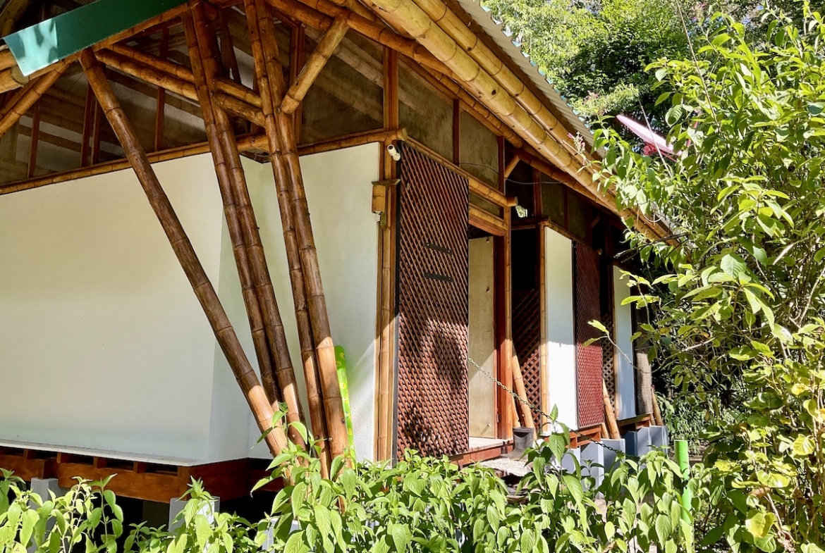 jungle-beach-exotic-retreat