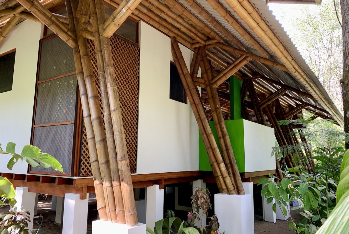 jungle-beach-exotic-retreat