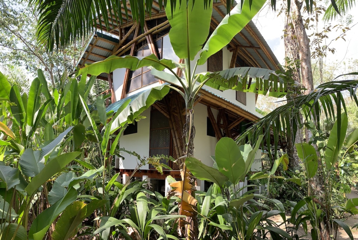 jungle-beach-exotic-retreat