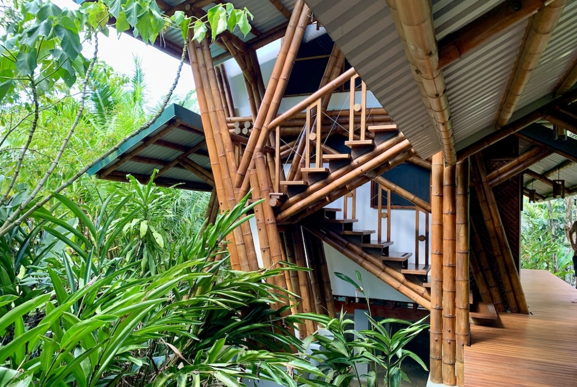 jungle-beach-exotic-retreat