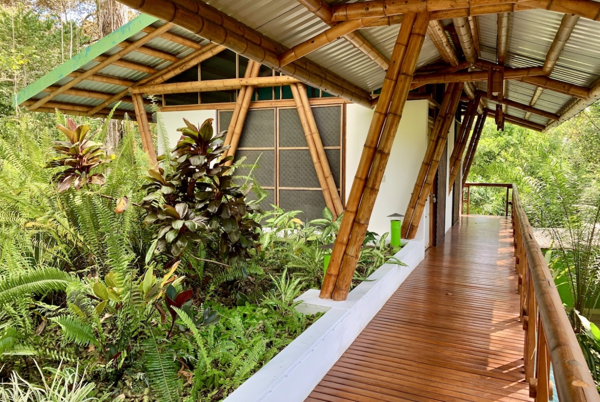 jungle-beach-exotic-retreat