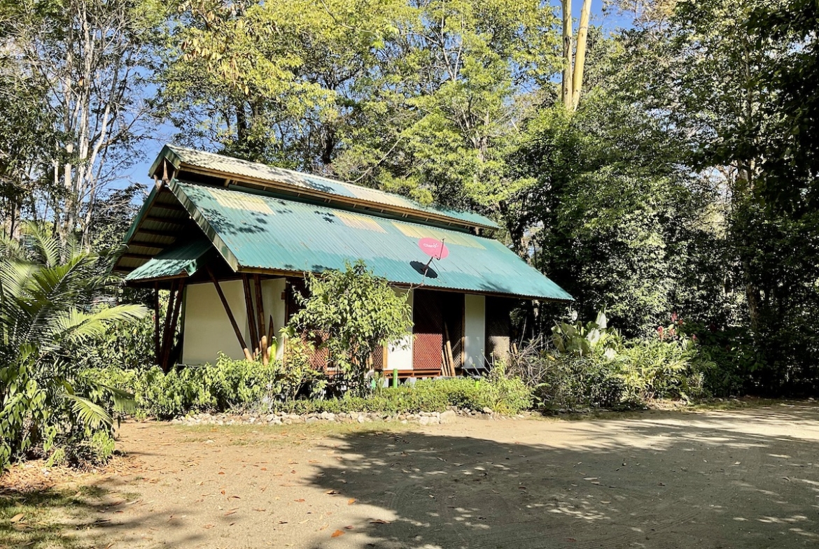 jungle-beach-exotic-retreat