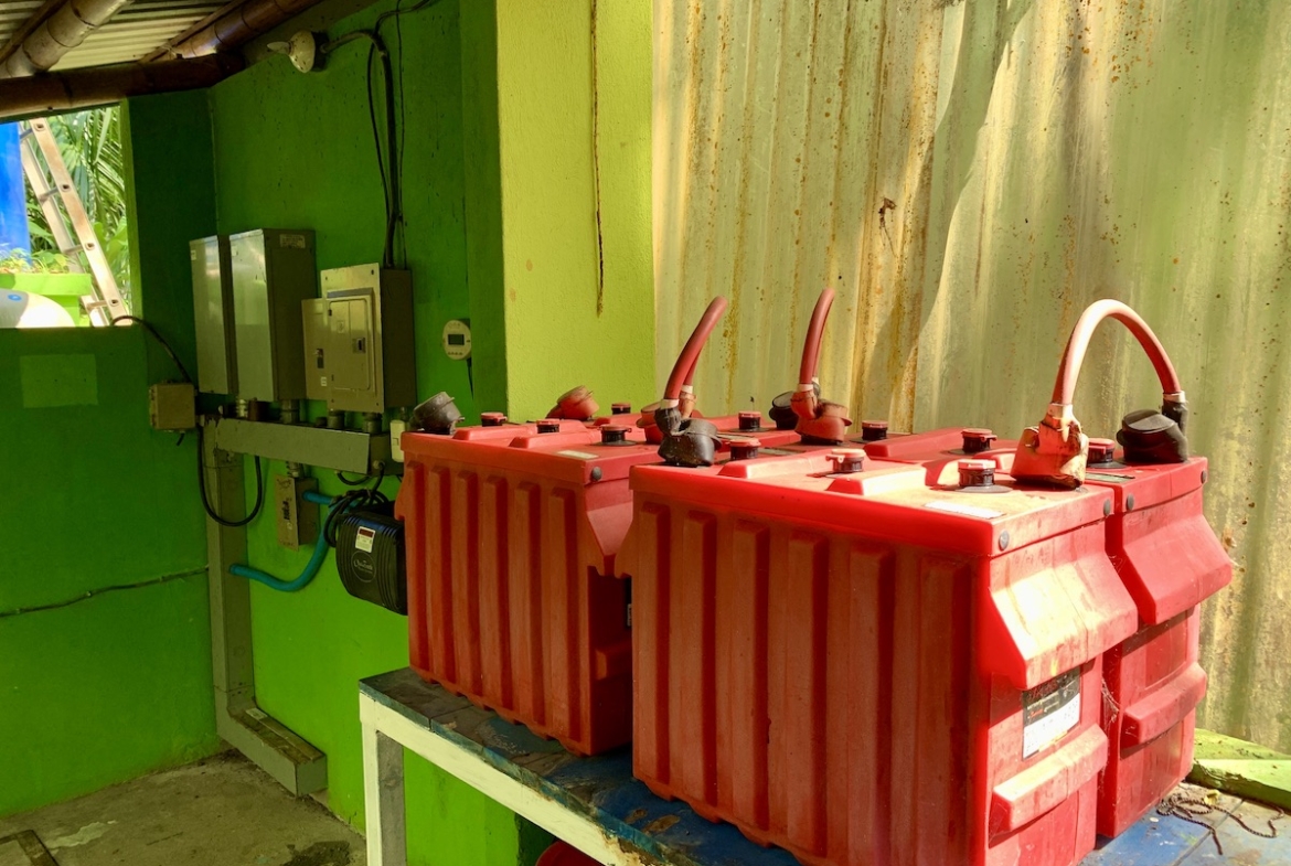 jungle-beach-exotic-retreat