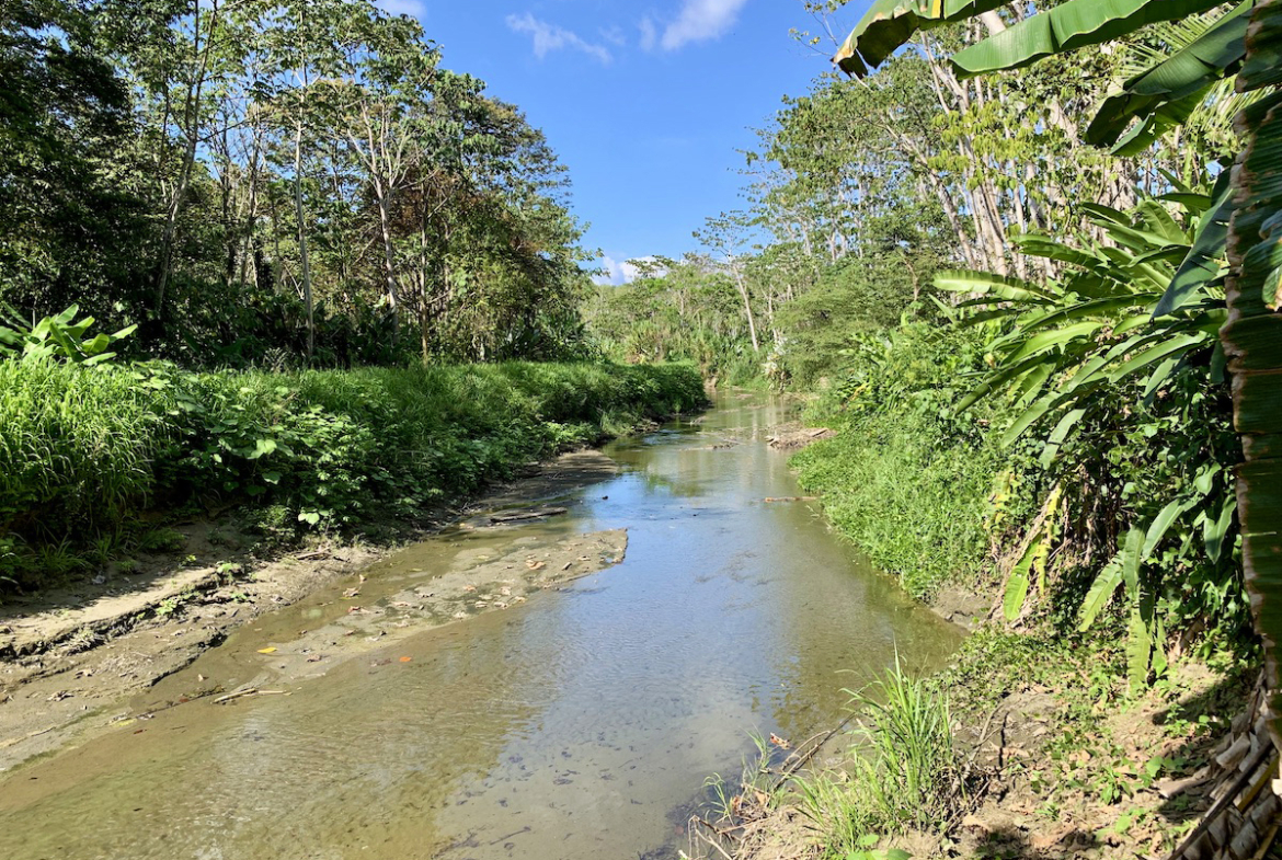 jungle-beach-exotic-retreat