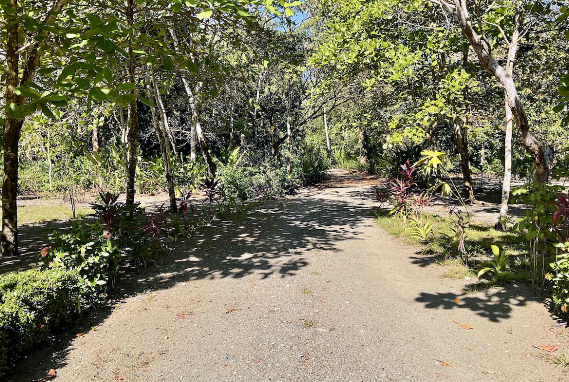 jungle-beach-exotic-retreat