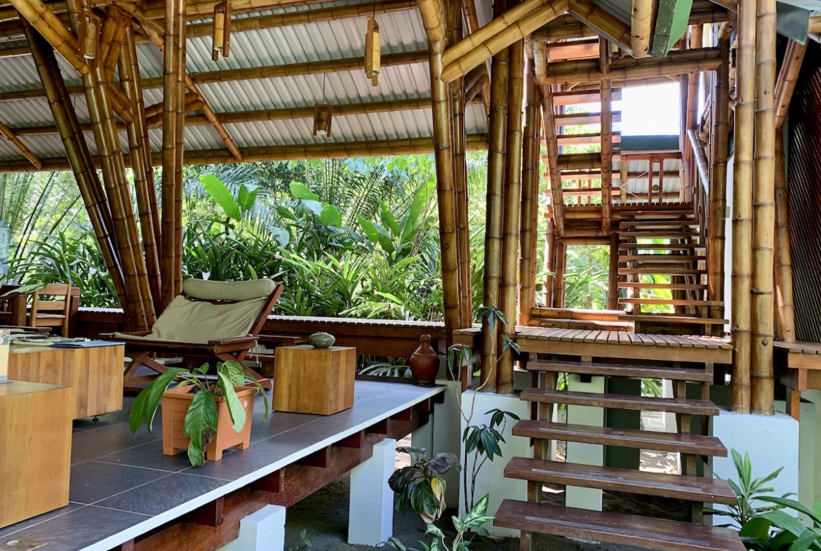 jungle-beach-exotic-retreat