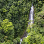 once-in-a-lifetime-waterfall-farm-in-rainforest