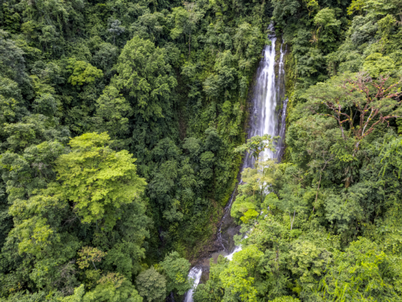 once-in-a-lifetime-waterfall-farm-in-rainforest