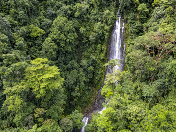 once-in-a-lifetime-waterfall-farm-in-rainforest
