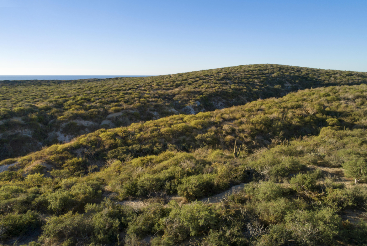 punta-perfecta-development-parcel