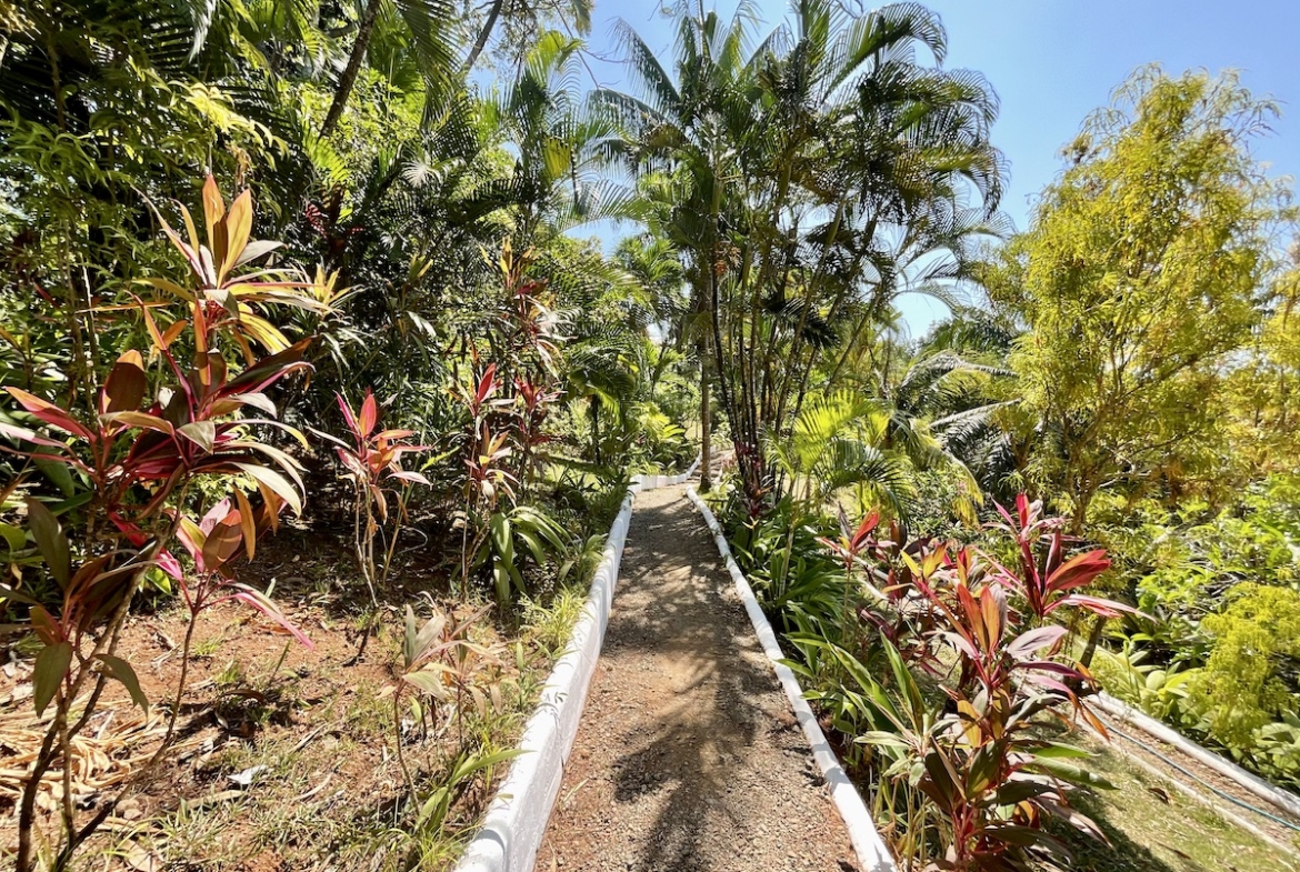 spectacular-ocean-view-resort-property