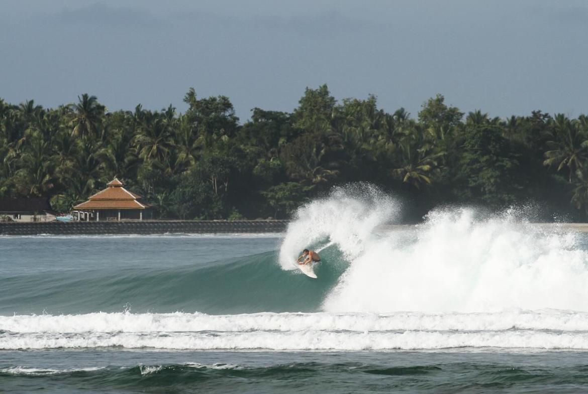 illa-santai-mandiri-krui-west-sumatra-for-sale