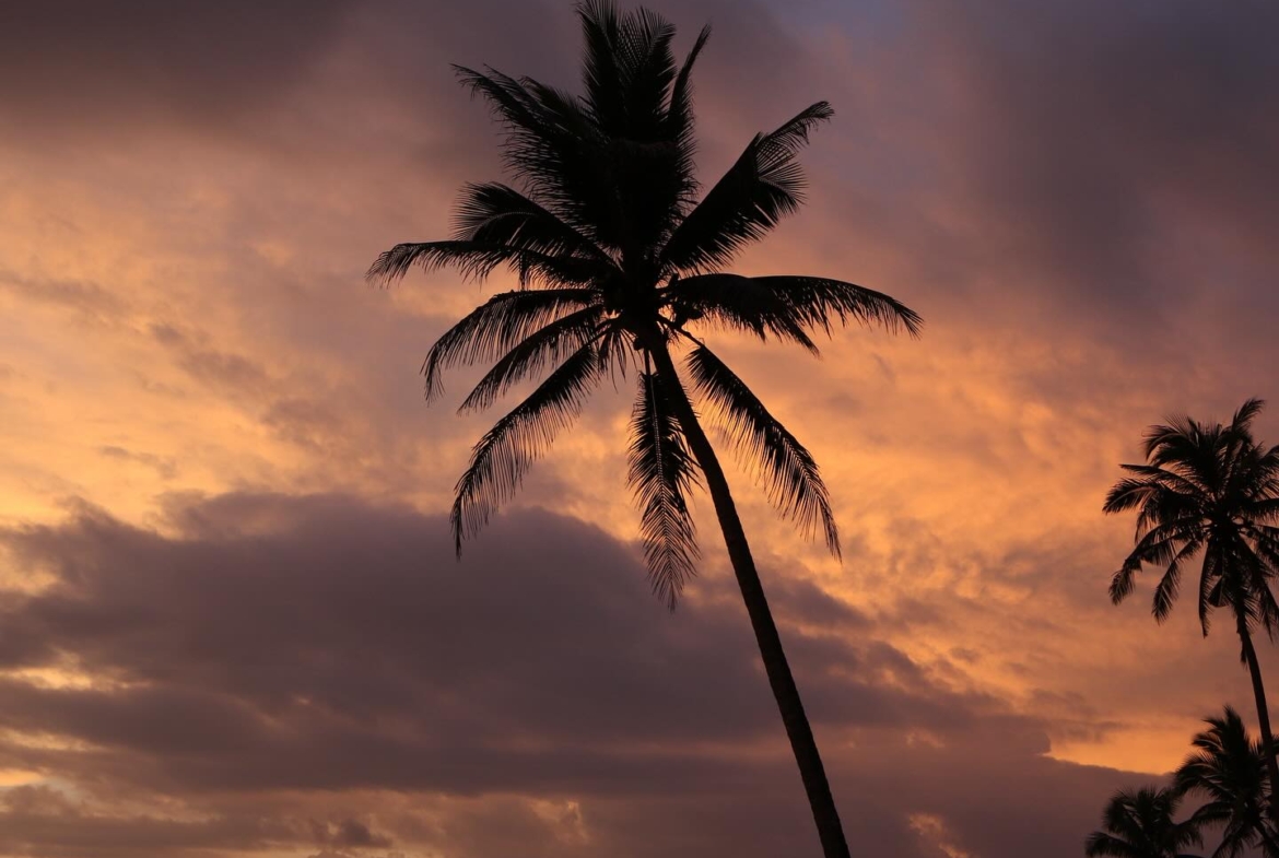 illa-santai-mandiri-krui-west-sumatra-for-sale