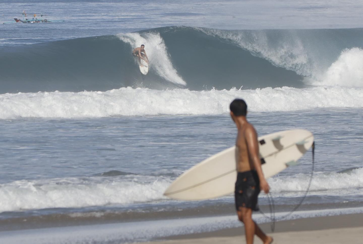 illa-santai-mandiri-krui-west-sumatra-for-sale