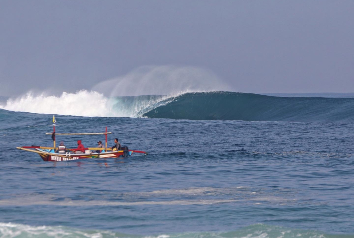 illa-santai-mandiri-krui-west-sumatra-for-sale