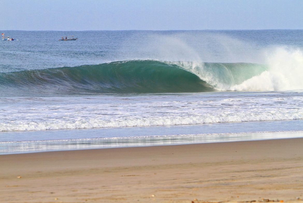 illa-santai-mandiri-krui-west-sumatra-for-sale